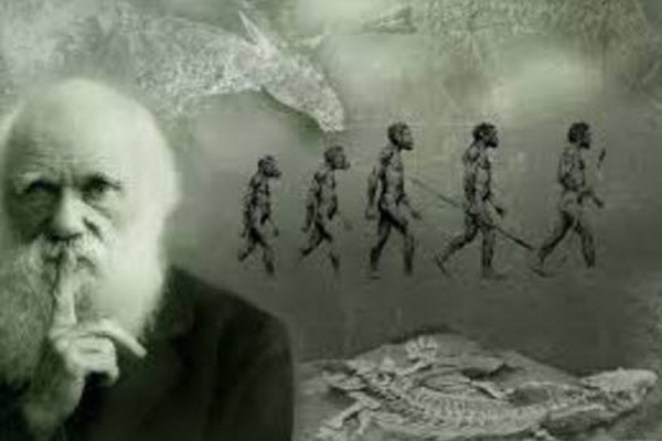 پاورپوینت نظریه داروینیسم اجتماعی