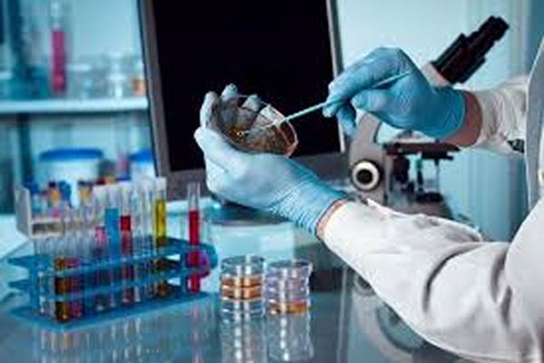 دانلود گزارش کار جامع آزمایشگاه باکتری شناسی (شامل تمام آزمایشات باکتری شناسی) 2021