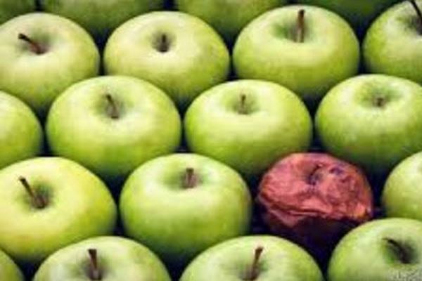 دانلود پاورپوینت سندرم سیب لک دار چیست 2021