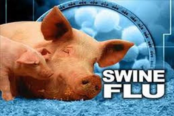 دانلود پاورپوینت از بیماری آنفولانزا با منشا خوکی چه میدانید ؟ 2021