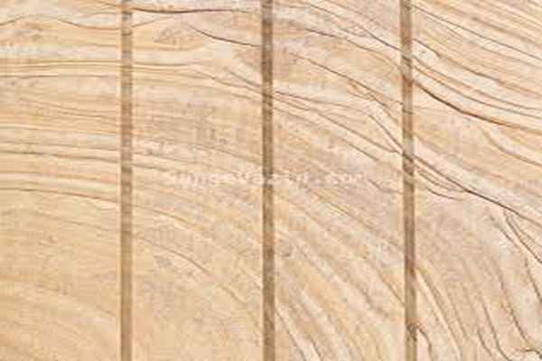 دانلود پاورپوینت مواد و مصالح ساختمانی – چوب ( تنها مصالح تجدیدپذیر ) 2021