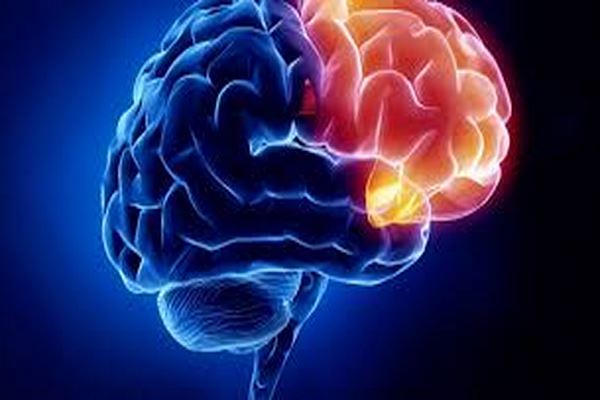 دانلود پاورپوینت آسیب های مغزی چیست ؟ 2021