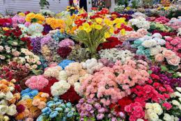 مجموعه کامل تحلیل  بازار گل در  ایران و جهان با  نگاه  به فرصت‌ها  و  چالش‌های  بازار  گل  در  ایران
