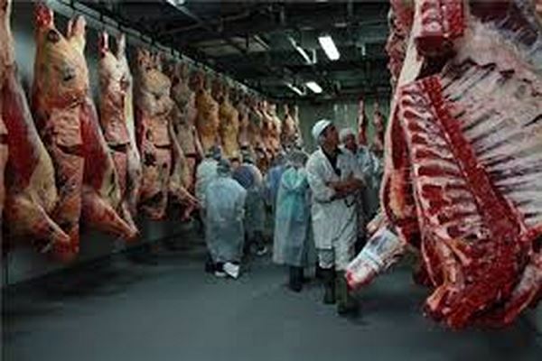 دانلود صنعت گوشت 2021
