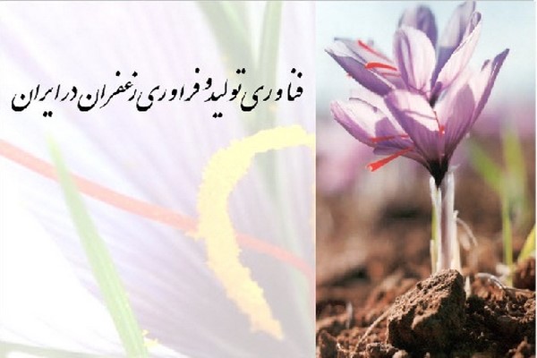 دانلود پاورپوینت فناوری تولید و فرآوری زعفران در ایران 2021