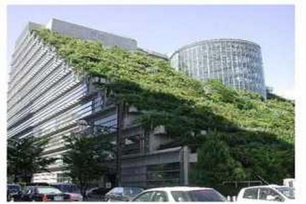 دانلود بامهای سبز سنتی و مدرن و روش ایجاد باغچه بر روی پشت بام 2021
