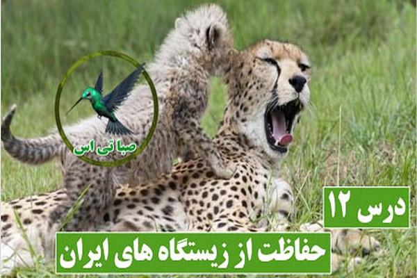 دانلود پاورپوینت حفاظت از زیستگاه های ایران (درس 12 مطالعات اجتماعی کلاس هفتم) 2021