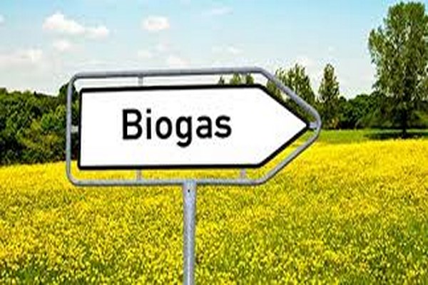 دانلود هندبوک بیوگاز biogas handbook 2021