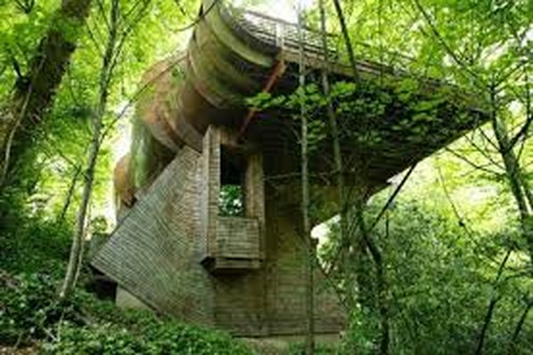 پاورپوینت الهام از سازه های طبیعی  در طراحی معماری